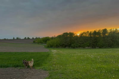 Село