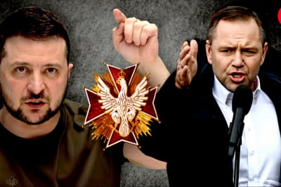Зеленський, Навроцький 
