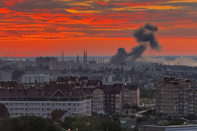 Наслідки бавовни