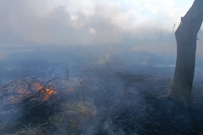 пожежа на Херсонщині