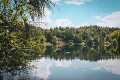 Село, озеро, рибалка