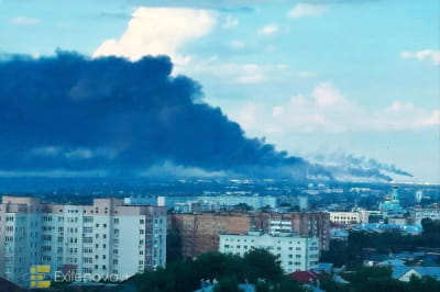 Наслідки бавовни