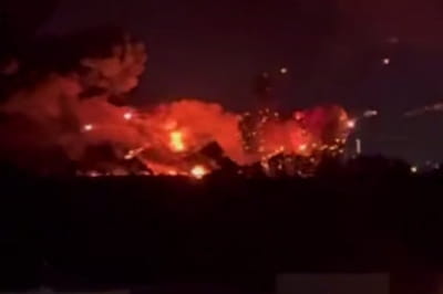 Бавовна