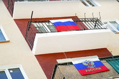 будинки