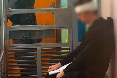підозрюваний від вартою