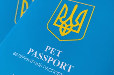 Ветеринарний паспорт