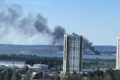 Наслідки бавовни