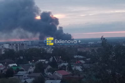 Бавовна у рф