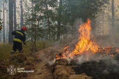 Масштабна лісова пожежа на Черкащині
