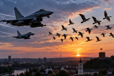 В Литве истребители НАТО проверяли «дрон», который оказался стаей птиц
