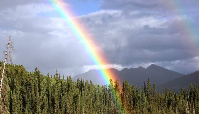 Дождливая погода