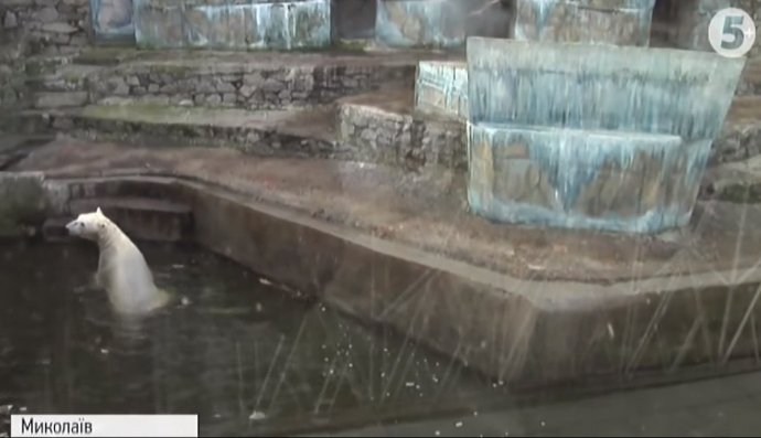 Ведмежатко