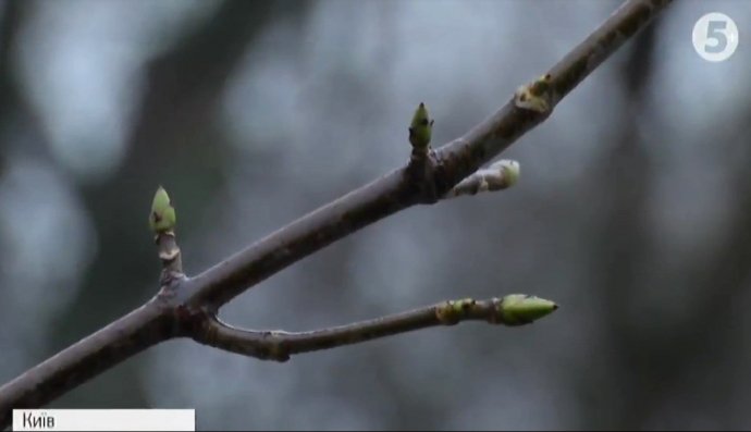Потепління