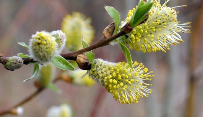 Потеплішання