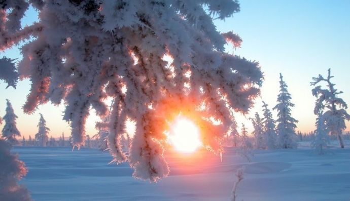 Зимовий пейзаж