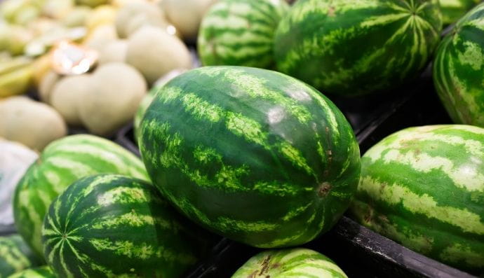 кавун диня