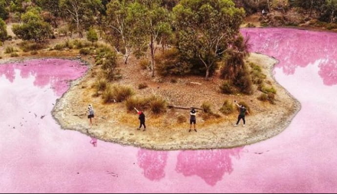 Рожеве озеро в Австралії