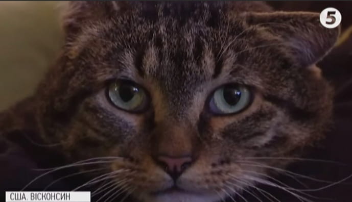 Сержант Стабс