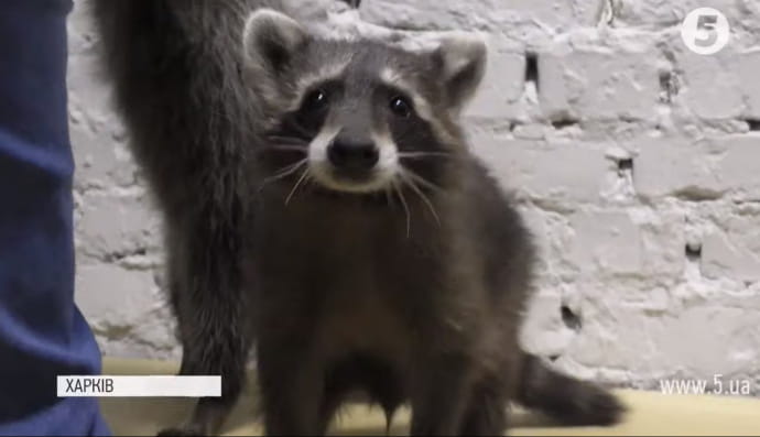 Енотики в Харькове