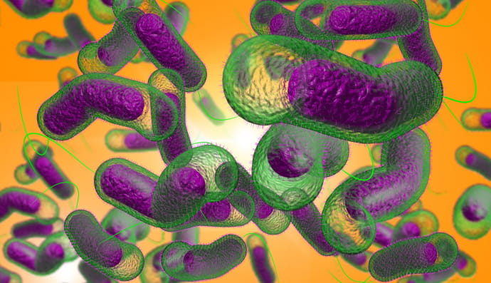 Холера, вирус