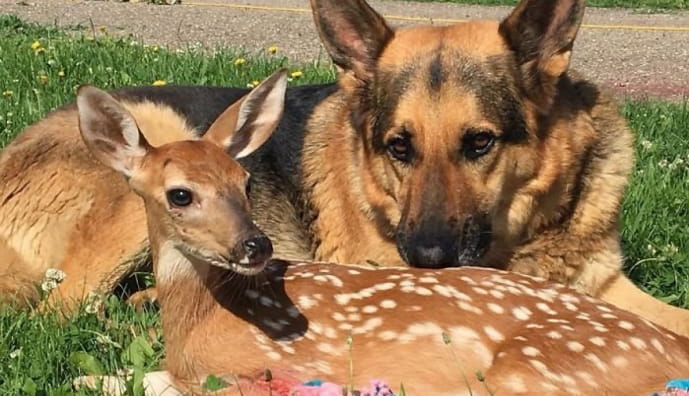 Турботливий батько