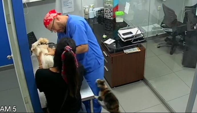 Храбрый Муни атакует 