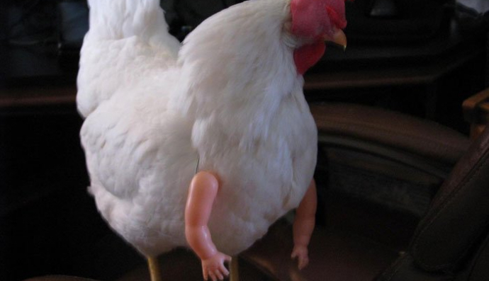 Курка з руками