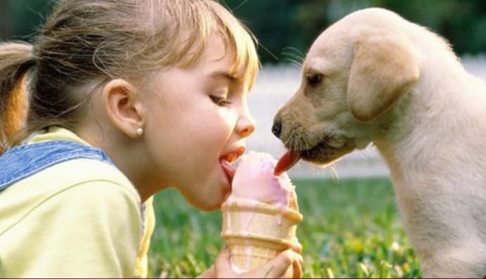 Діти і собаки