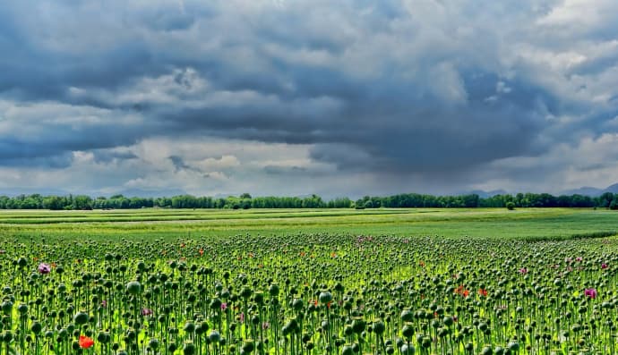 Похолодання в Україні