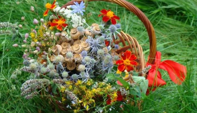 Маковія, Медовий Спас