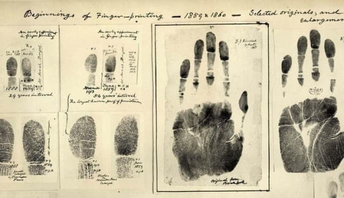 Відбитки пальців