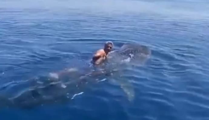 Чоловік катається на акулі
