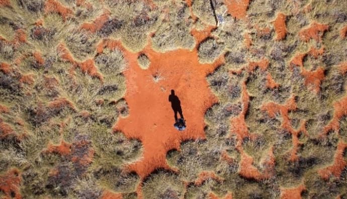 Відьомські кола