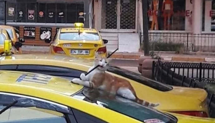 Ця штучка тут зайва