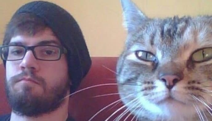 Кот и человек - идеальная пара