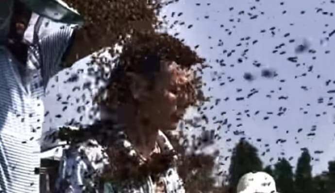 Кадр з відео