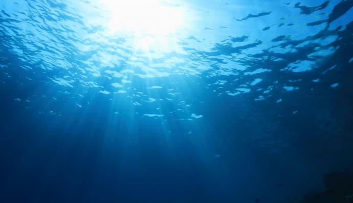 Морські води 