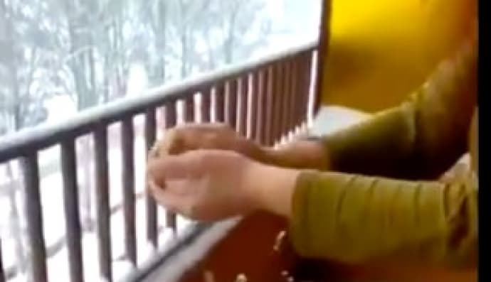 Сніг в Іспанії