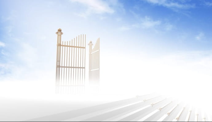 Жизнь после смерти