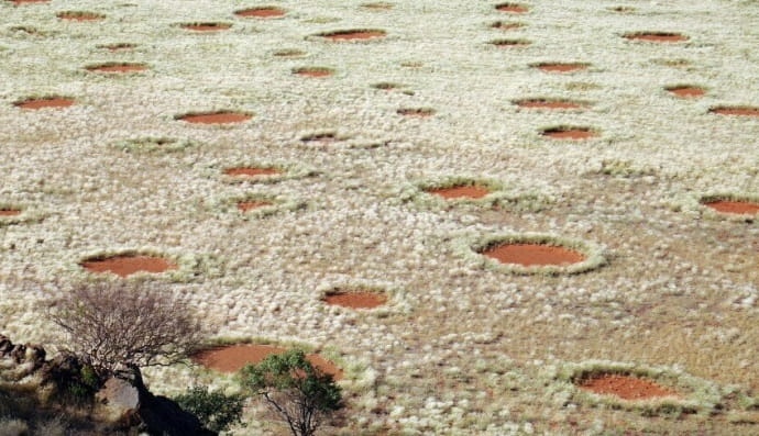 Ядовитые круги в Африке
