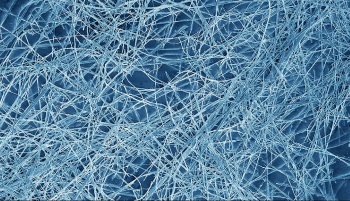 полімерна плівка