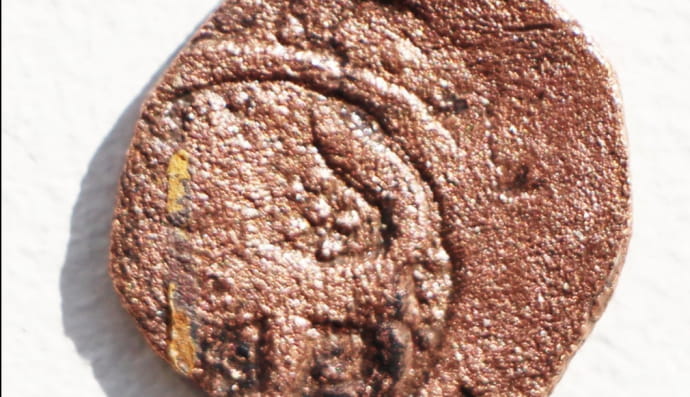 Монета Золотой Орды