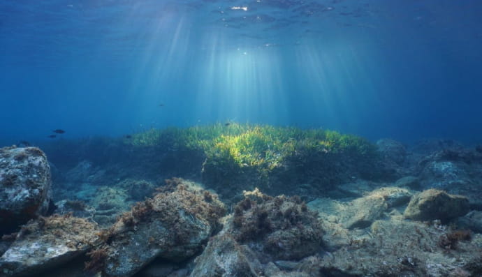 Морское дно