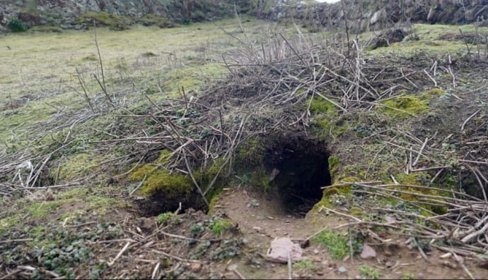 Археологічне відкриття валлійських кроликів