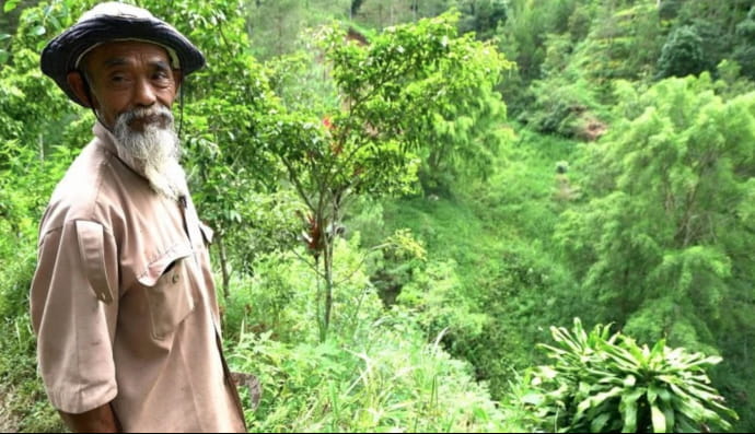69-річний індонезієць створив ліс