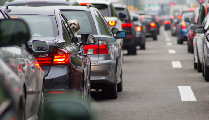 Затори на дорогах