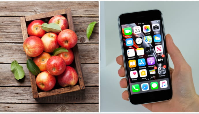 Яблука та iPhone SE 2