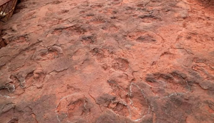 танцплощадка динозавров