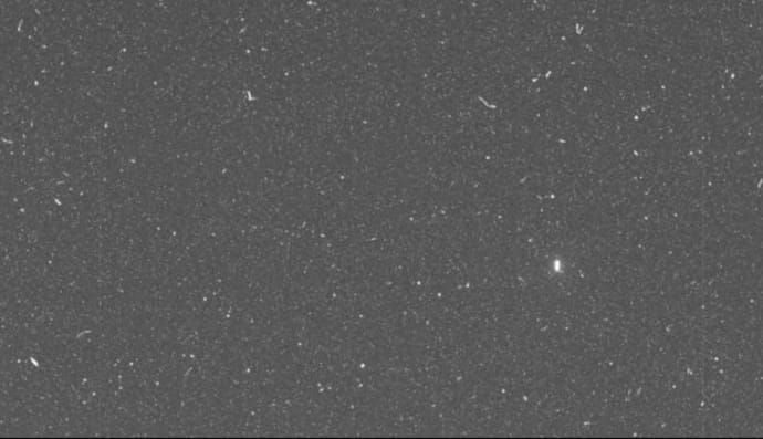 Perseverance зробив фото нічного неба