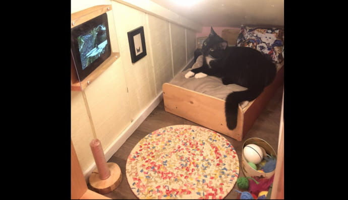 Будинок для кота